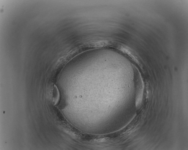 X0000068820307200605121322