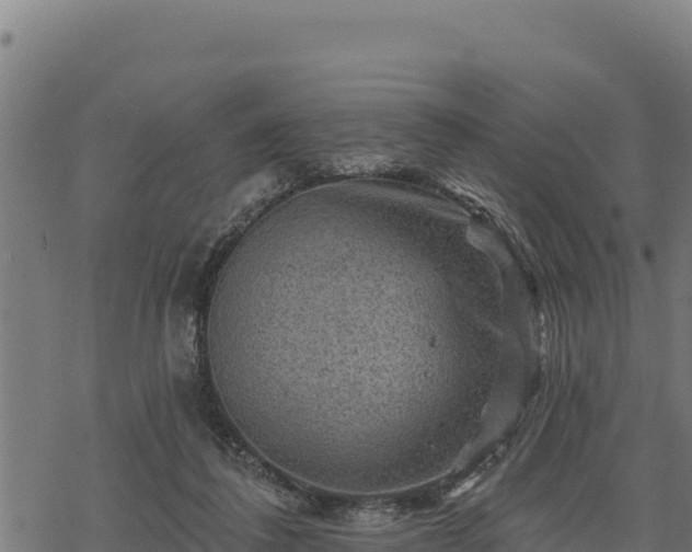 X0000068820308200605121322