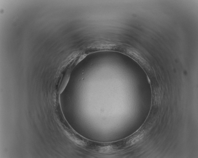 X0000068820309200605121322