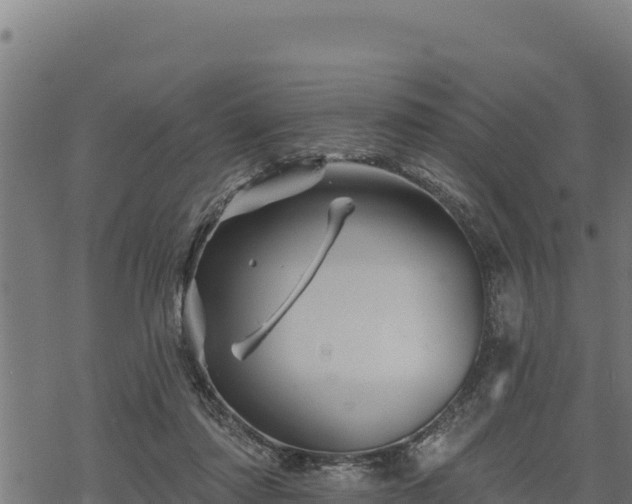 X0000068820310200605121322