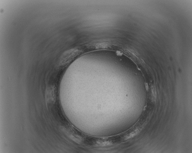 X0000068820311200605121322