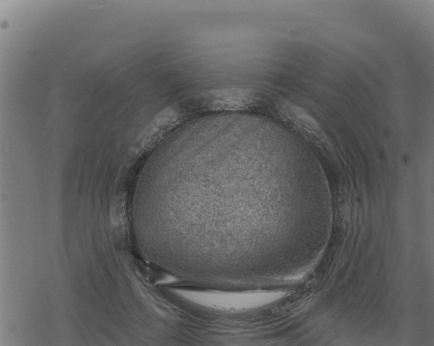 X0000068820312200605121322