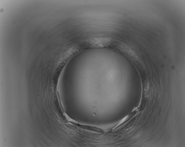 X0000068820314200605121322