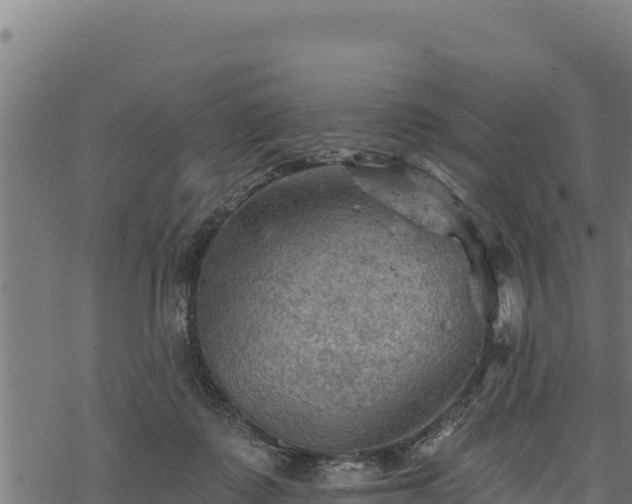 X0000068820315200605121322