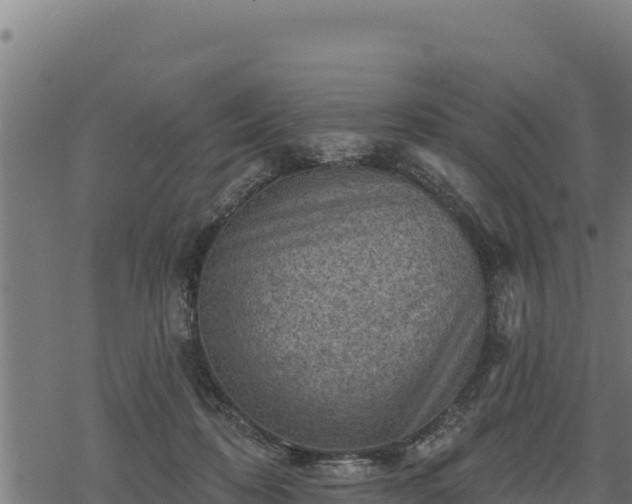 X0000068820316200605121322