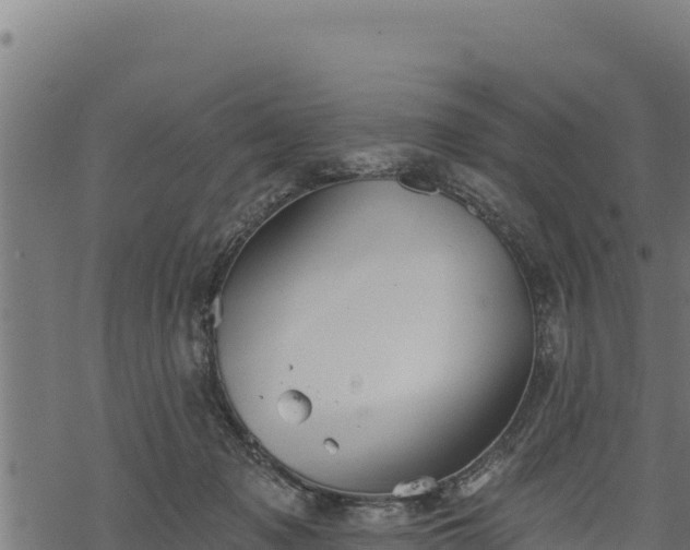 X0000068820317200605121322