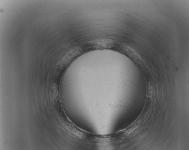 X0000068820318200605121322