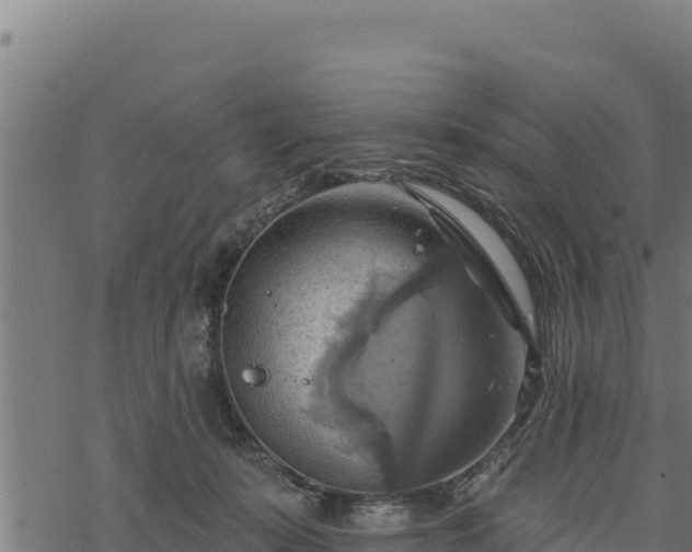 X0000068820319200605121322