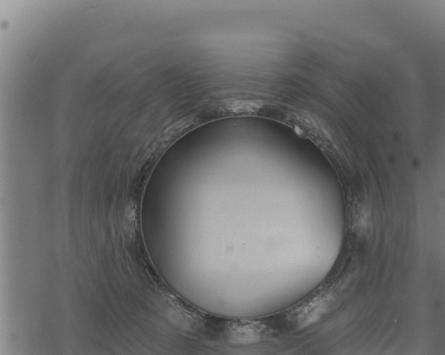 X0000068820321200605121322