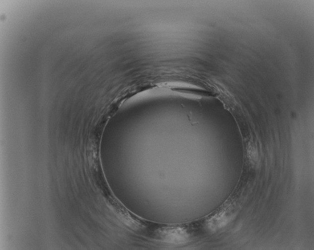 X0000068820322200605121322