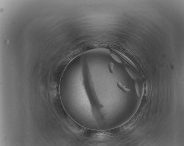 X0000068820323200605121322