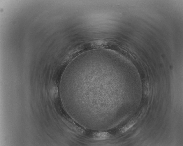 X0000068820324200605121322