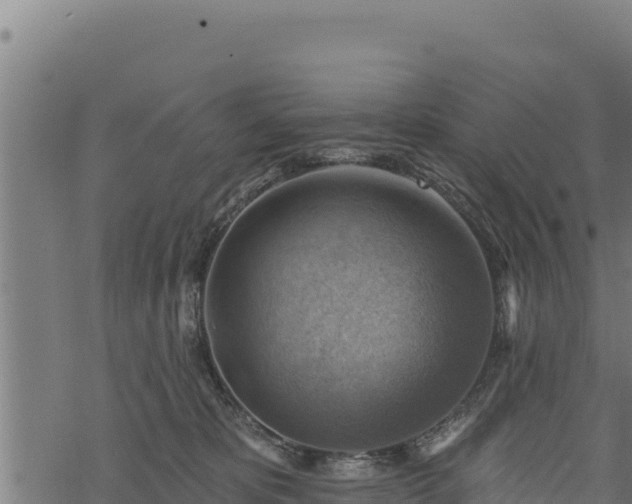 X0000068820325200605121322