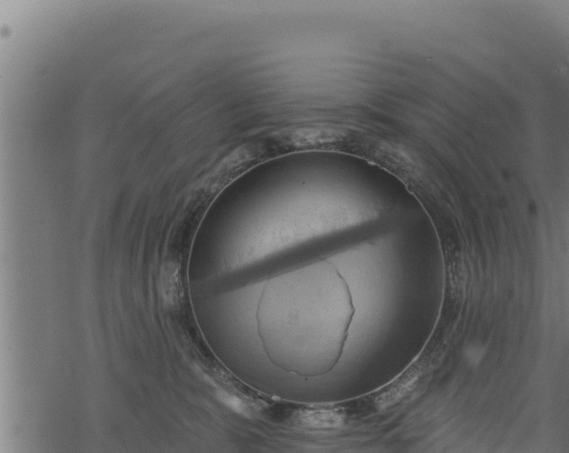 X0000068820327200605121322