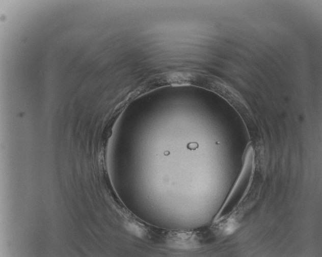 X0000068820329200605121322