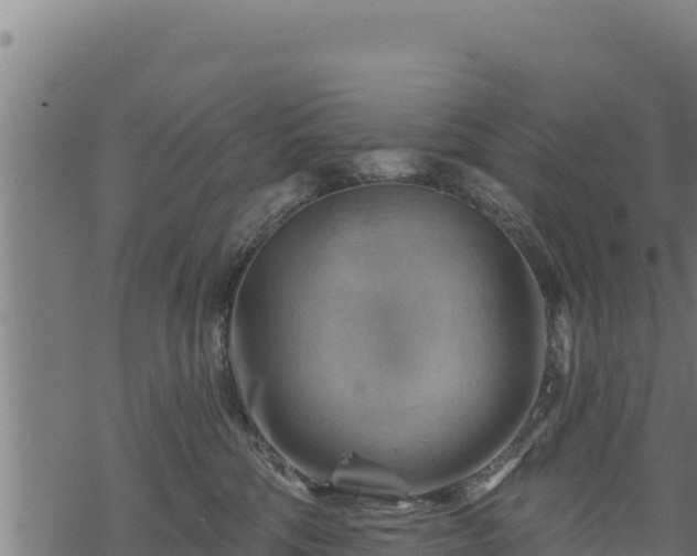 X0000068820330200605121322