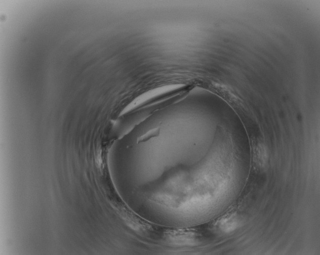 X0000068820331200605121322