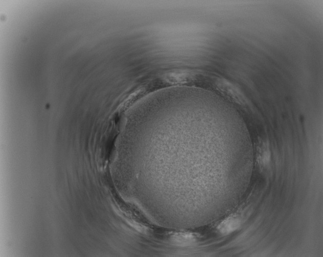 X0000068820332200605121322