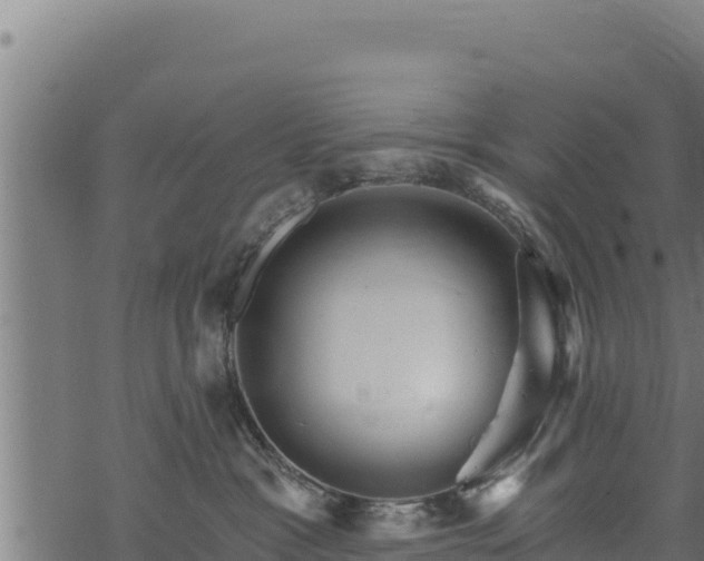 X0000068820333200605121322