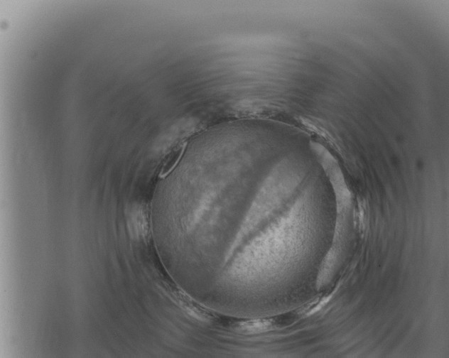 X0000068820335200605121322