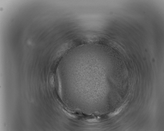 X0000068820336200605121322