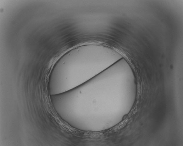 X0000068820337200605121321