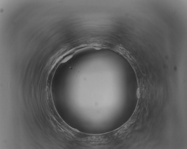 X0000068820338200605121321