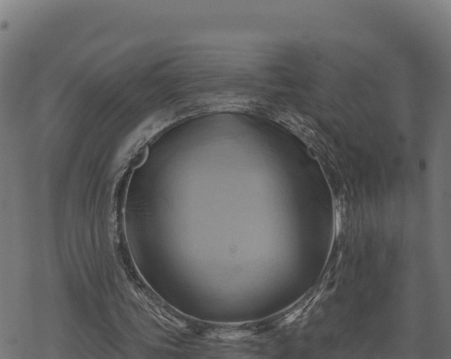 X0000068820339200605121321