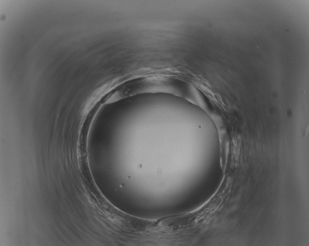 X0000068820340200605121321