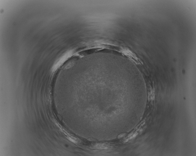 X0000068820341200605121321