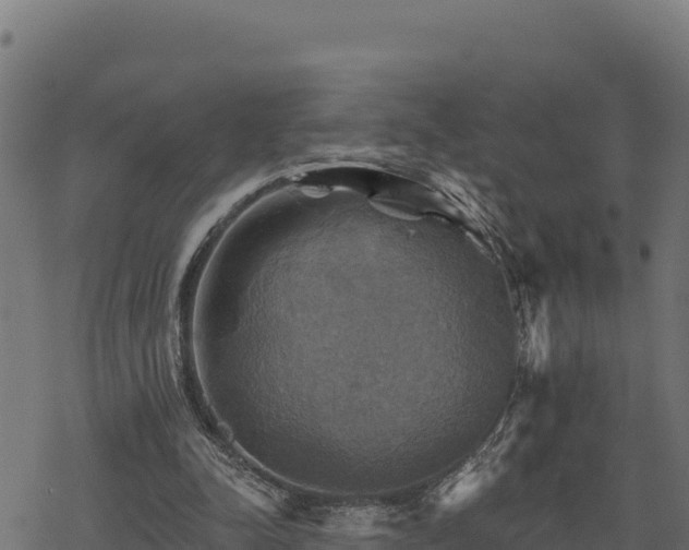 X0000068820342200605121321