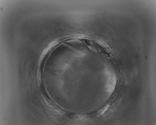 X0000068820343200605121321