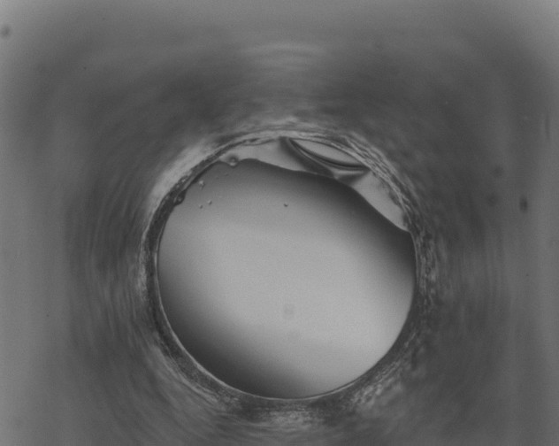 X0000068820344200605121321