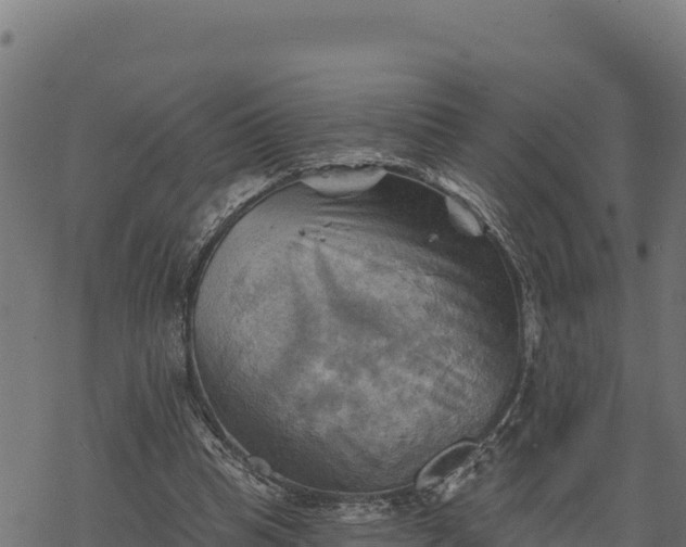 X0000068820345200605121321