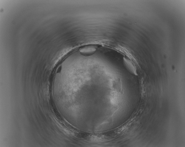 X0000068820346200605121321