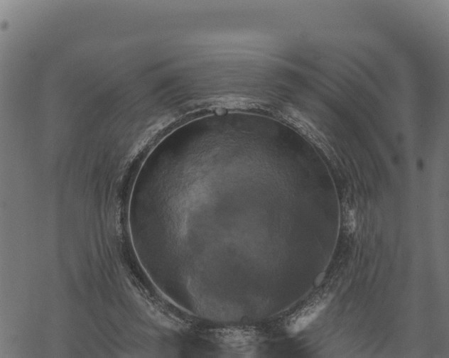 X0000068820347200605121321