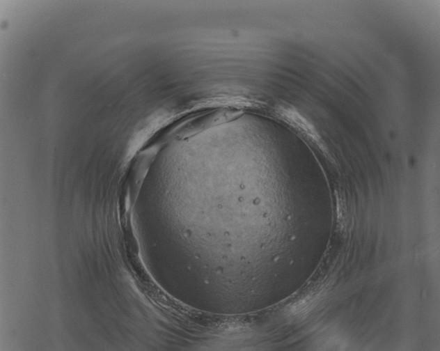 X0000068820348200605121321