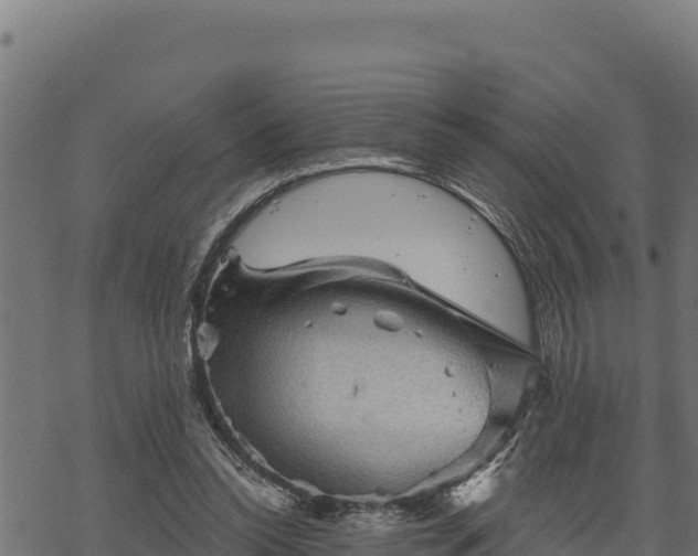 X0000068820350200605121321