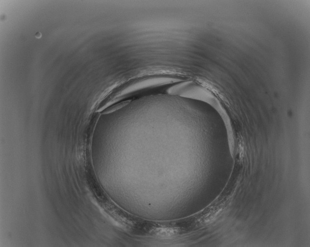 X0000068820352200605121321