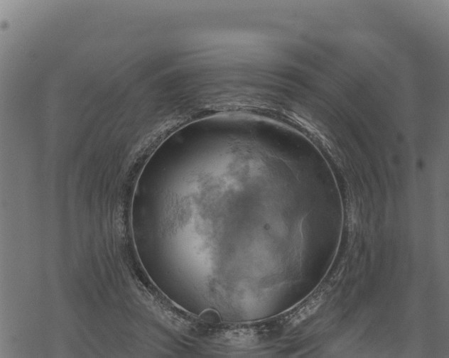 X0000068820353200605121321