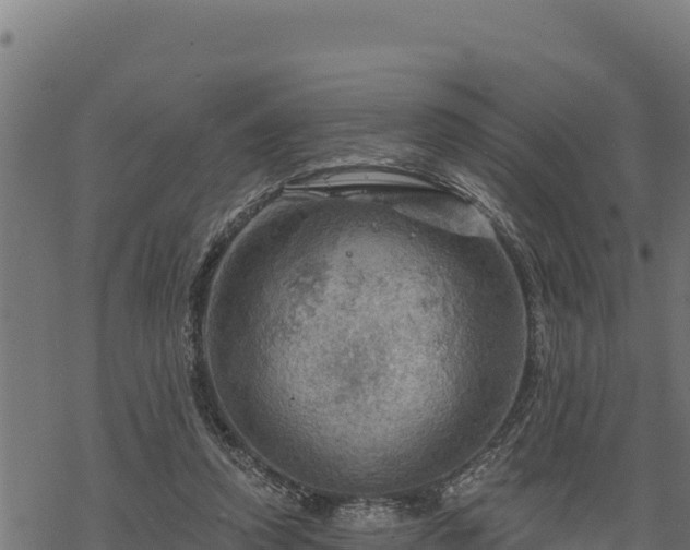 X0000068820354200605121321