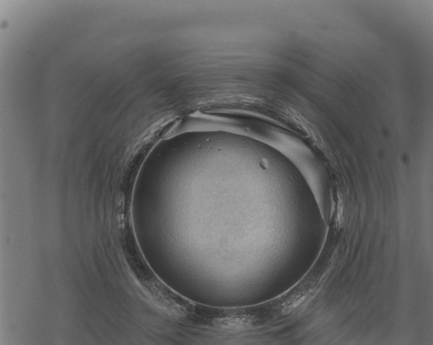 X0000068820356200605121321