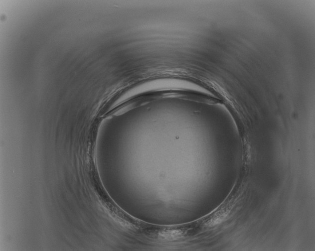 X0000068820357200605121322