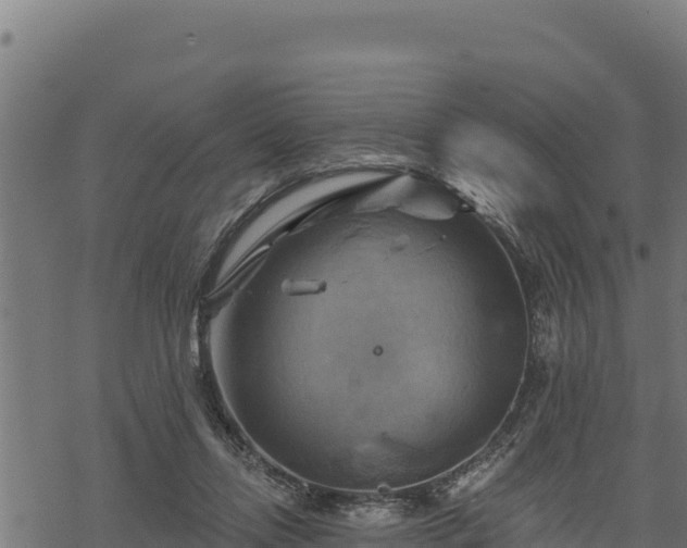 X0000068820358200605121322