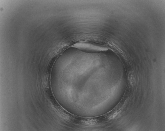 X0000068820359200605121322