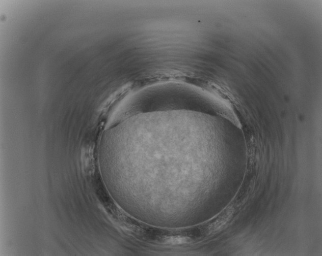 X0000068820360200605121322