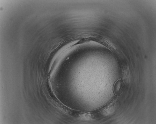 X0000068820362200605121322