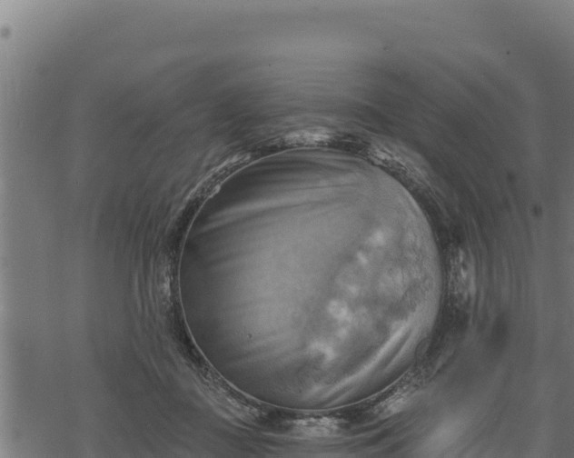 X0000068820363200605121322