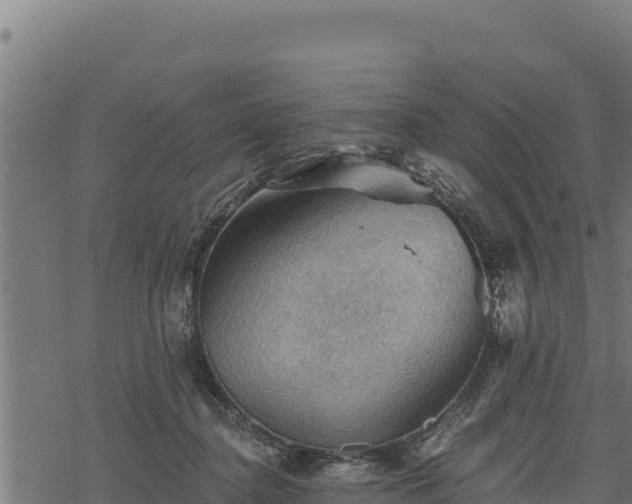 X0000068820364200605121322