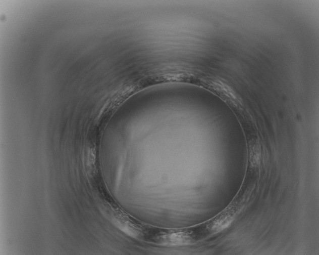 X0000068820365200605121322